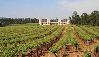 Historia de Bodegas La Val