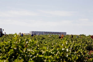 Bodegas Mano a Mano