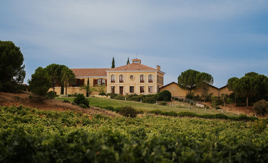 Descubre la interesante historia de Bodegas y Viñedos Áster