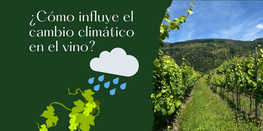 ¿Cómo influye el cambio climático en el vino?