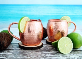 Los Tipos de Ginebra más Populares en el Mundo de la Coctelería