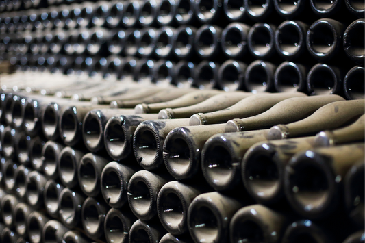 Formatos para criar vinos: de la técnica al envase, y cómo se refleja el viñedo en la copa