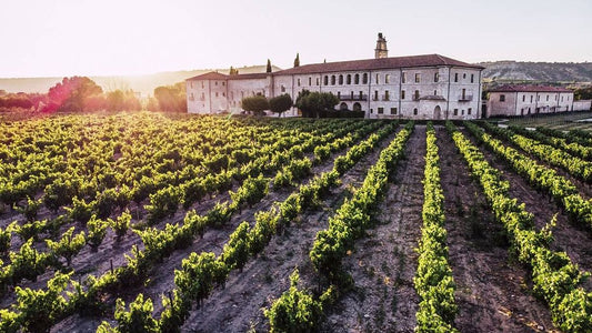 Conoce las 5 mejores bodegas de la zona de Ribera del Duero más visitadas de España