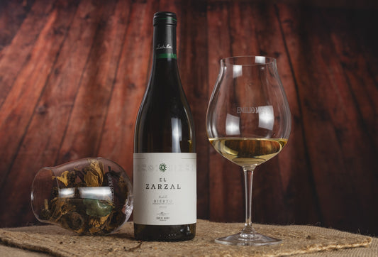 El Zarzal 2024