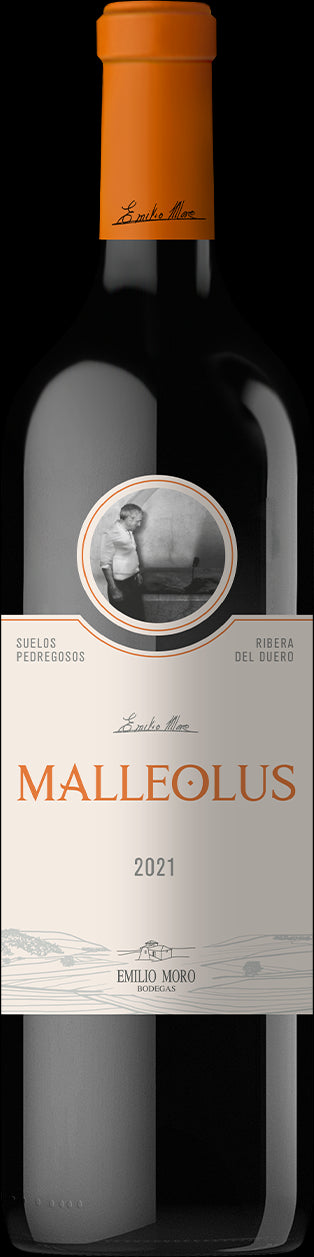 Malleolus 2022