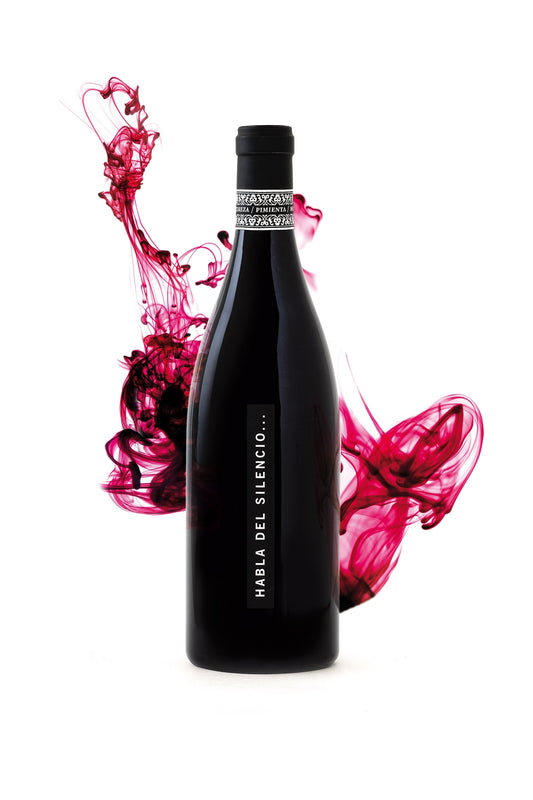 Habla del Silencio 2013