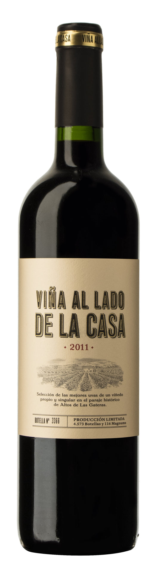 Viña al lado de la casa 2008