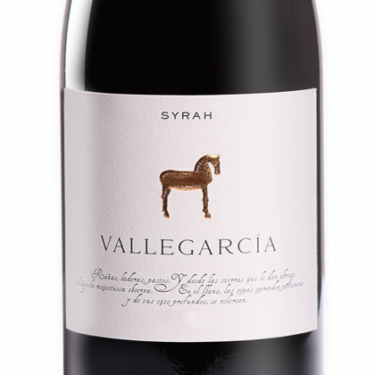 Vallegarcía Syrah 2022