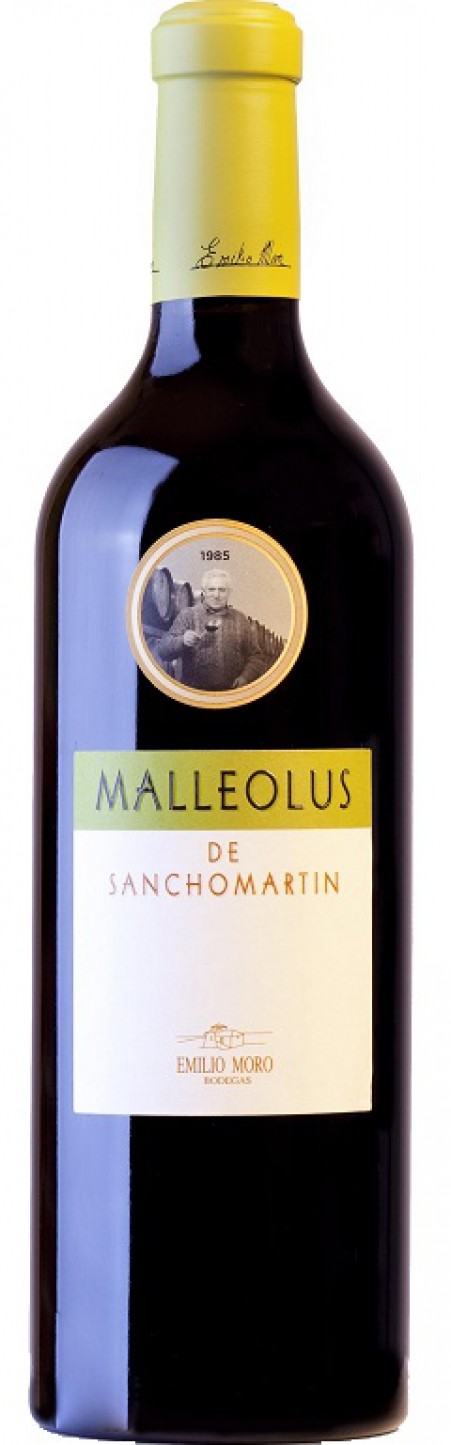 Malleolus Sanchomartín 2020