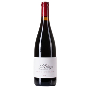 Pasos de San Martín 2019 Pasos de San Martín 2019