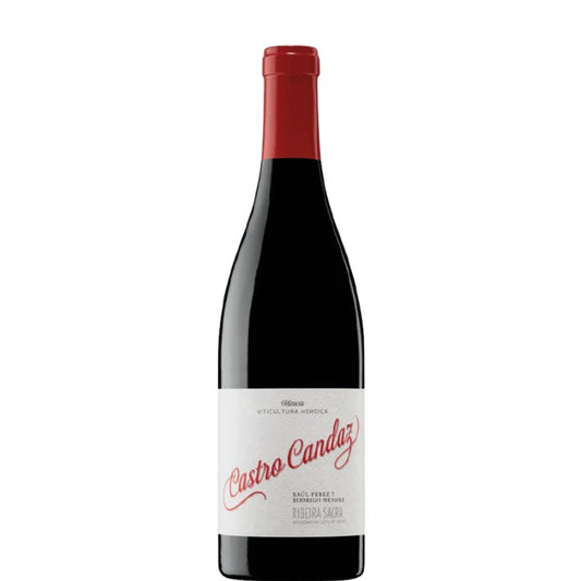 Castro Candaz Tinto Joven 2023