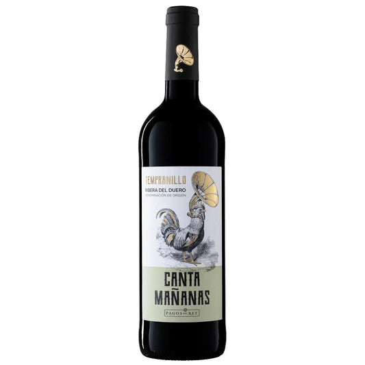 Canta Mañanas Joven 2024