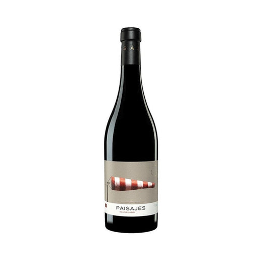 Paisajes V Valsalado 2012