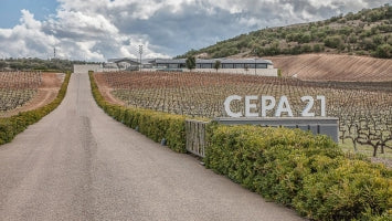 Conoce todo sobre Bodegas Cepa 21