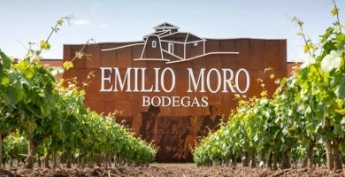 Descubre la excelencia detrás de las Bodegas Emilio Moro