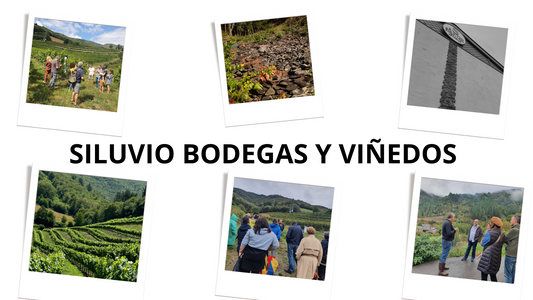 Tradición vitivinícola y recuperación del enoturismo en la zona del Sur del Occidente de Asturias