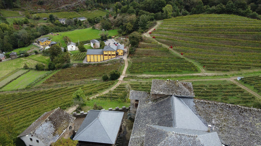 Siluvio Albarín Blanco de Guarda 2023: reconocido entre los mejores vinos del mundo por CERVIM