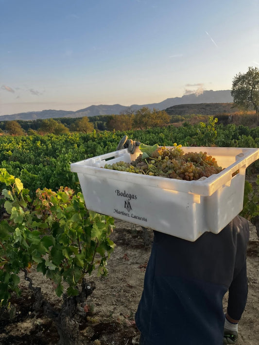 Martínez Lacuesta vinos y vermuts