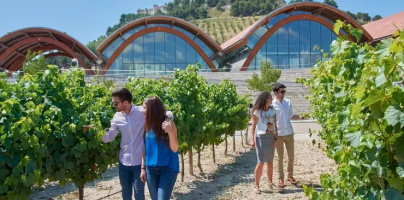 Descubre 7 riberas que brillan por sus cualidades aromáticas y por menos de 20 euros