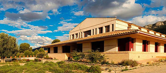 Conoce todo sobre Bodegas Casa de la Ermita