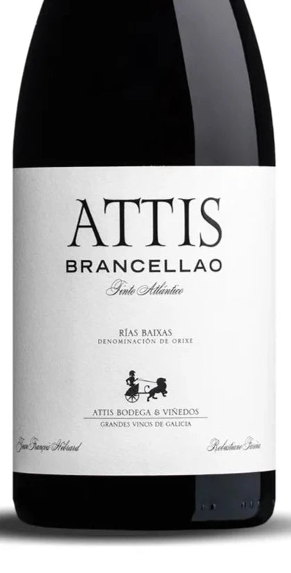 ATTIS BRANCELLAO 2022